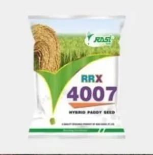 Rasi 4007 -paddy seeds 3 kg