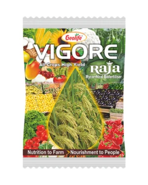 Geolife Vigore Raja Bio Fertilizer