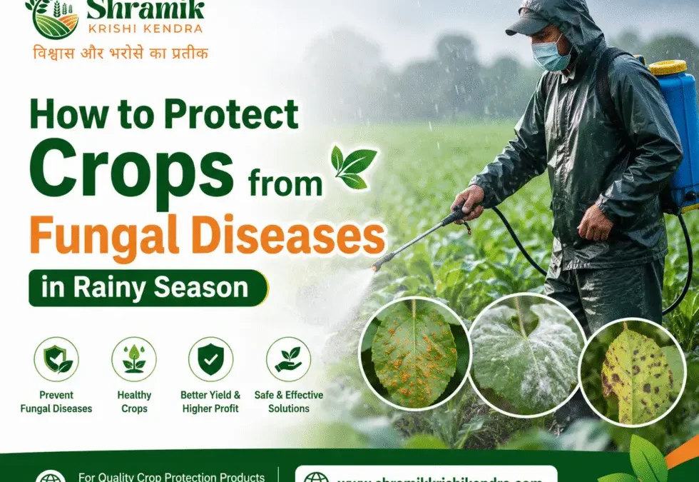How to Protect Crops from Fungal Diseases in Rainy Season