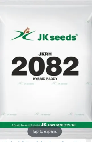 Hybrid paddy seeds JK 2082,3kg