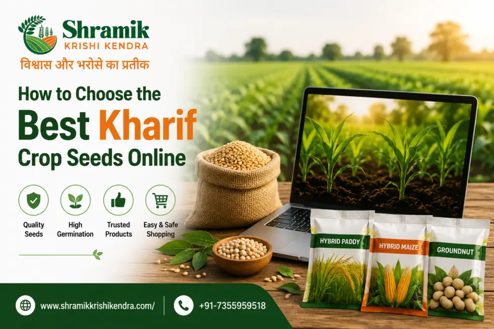 How to Choose the Best Kharif Crop Seeds Online