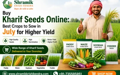 Buy Kharif Seeds Online: Best Crops to Sow in July for Higher Yield