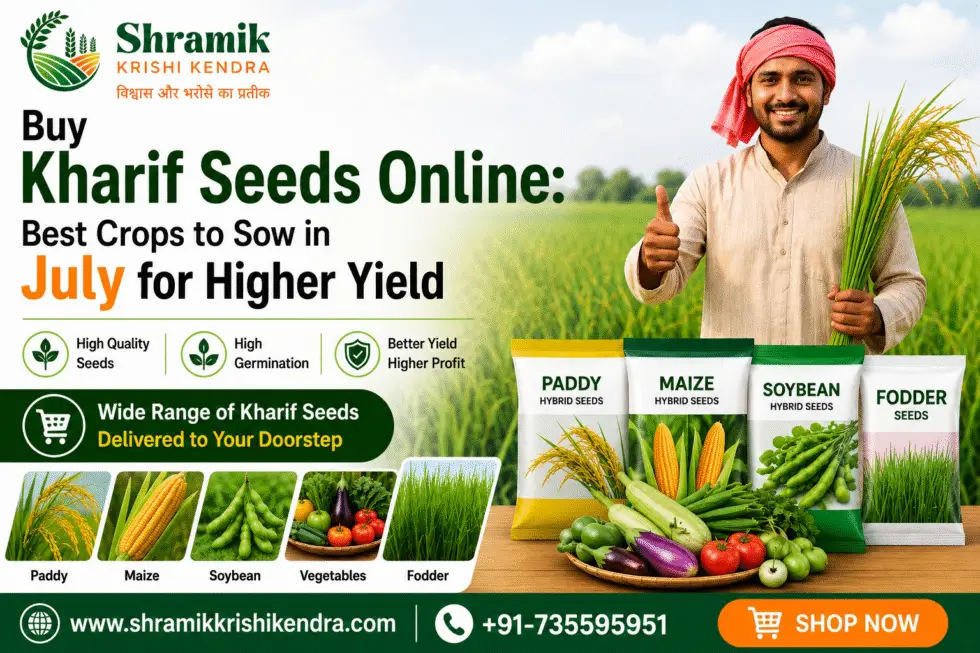 Buy Kharif Seeds Online: Best Crops to Sow in July for Higher Yield