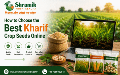How to Choose the Best Kharif Crop Seeds Online