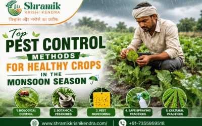Top Pest Control Methods for Healthy Crops in the Monsoon Season