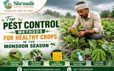 Top Pest Control Methods for Healthy Crops in the Monsoon Season