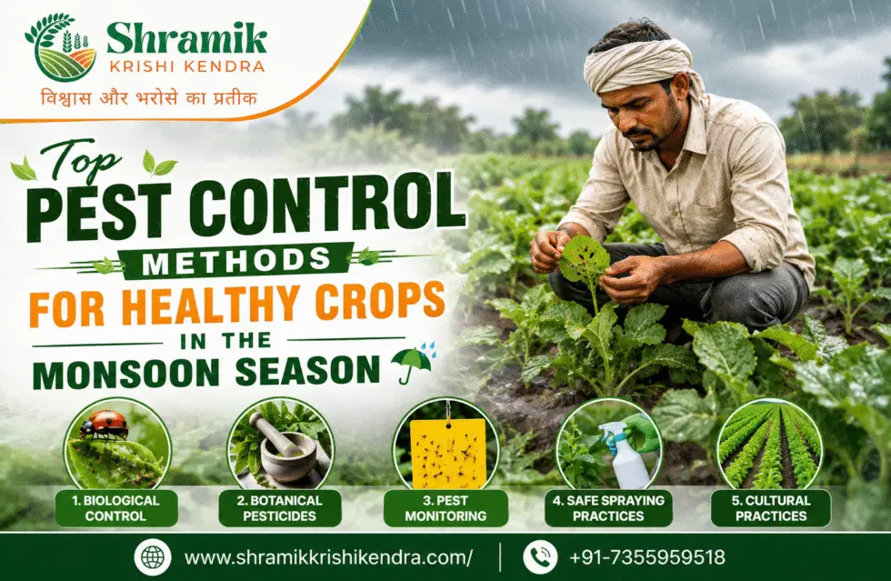 Top Pest Control Methods for Healthy Crops in the Monsoon Season