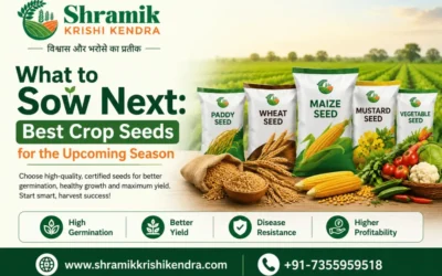 What to Sow Next: Best Crop Seeds for the Upcoming Season
