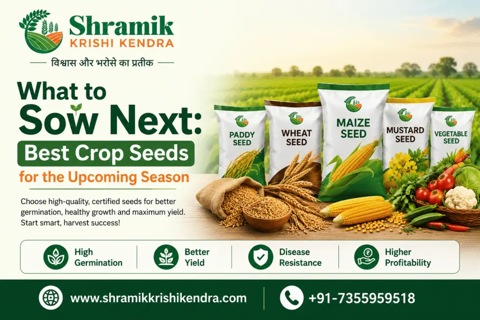 What to Sow Next: Best Crop Seeds for the Upcoming Season
