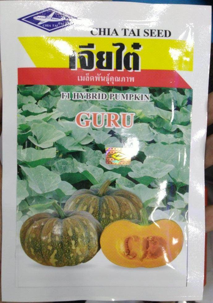 Guru Hybrid