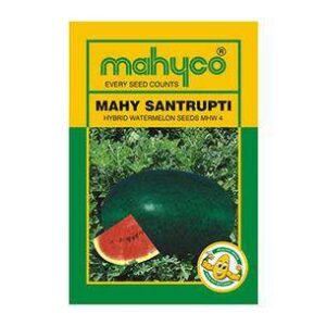 Santrupti Watermelon Seeds