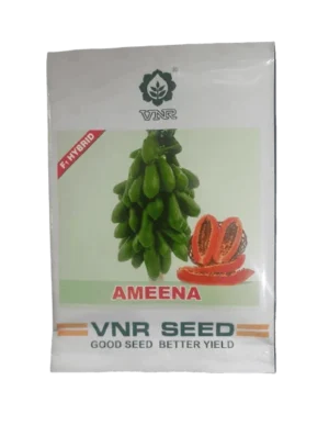 VNR Ameena Papaya Seeds