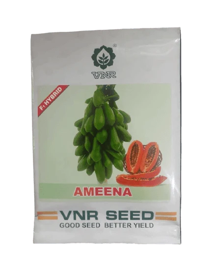 VNR Ameena Papaya Seeds