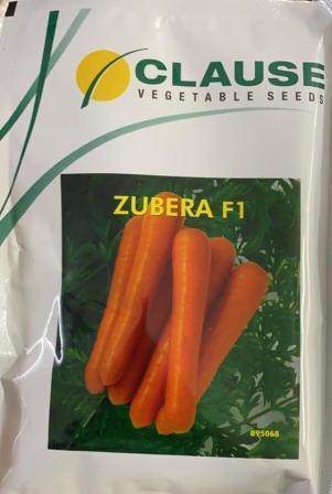 Zubera