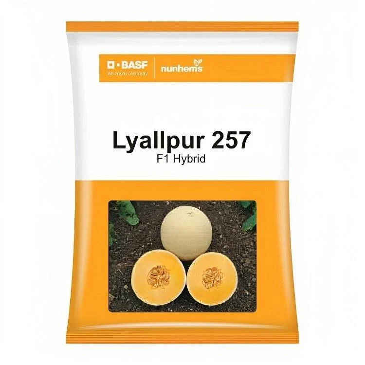 basf-nunhems-lyallpur