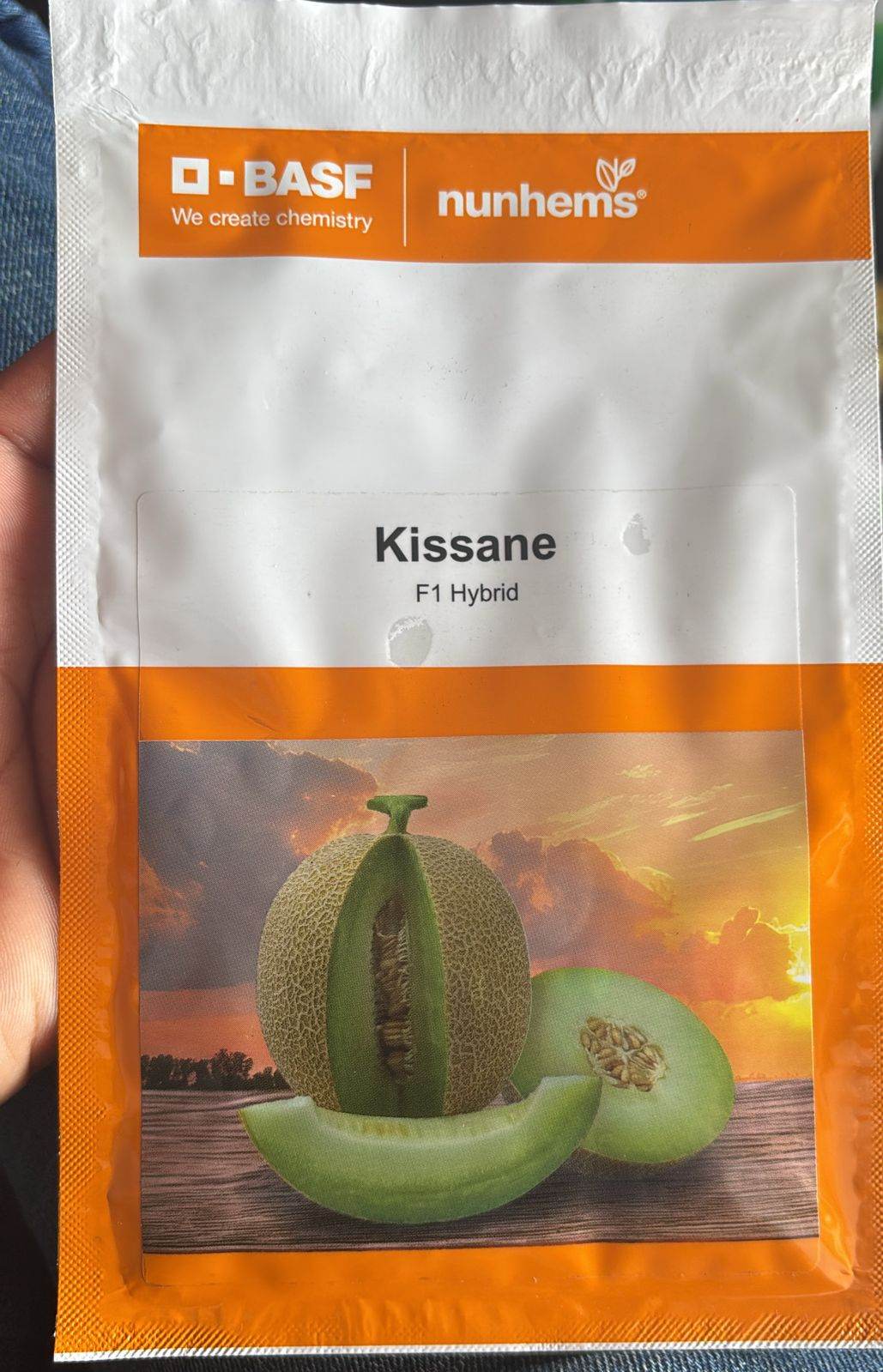 Kissane F1 Hybrid Muskmelon