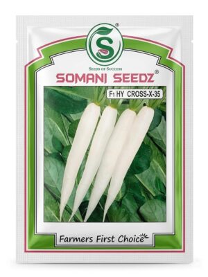 Hybrid Radish Seeds