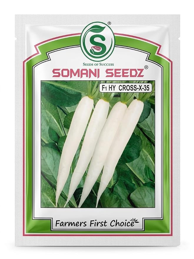 Hybrid Radish Seeds