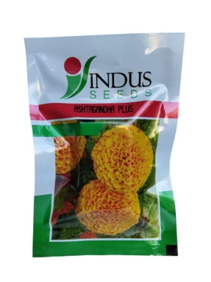 Ashtagandha Plus Marigold