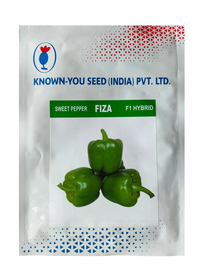 Capsicum Fiza F1
