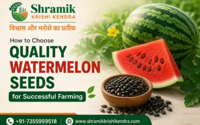 How to Choose Quality Watermelon Seeds for Successful Farming