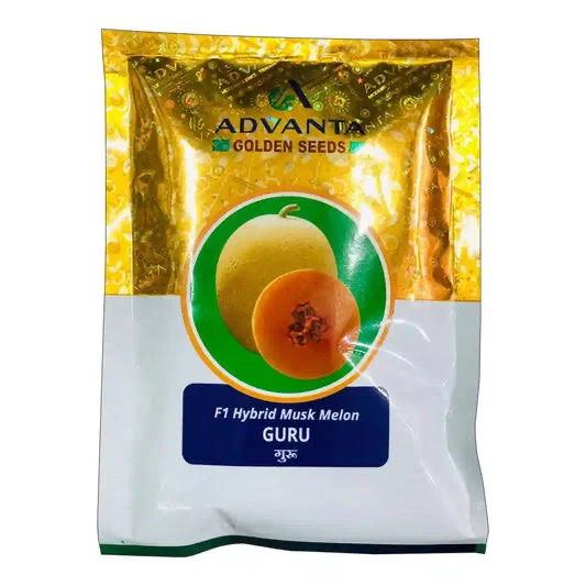 Advanta Golden Guruguru