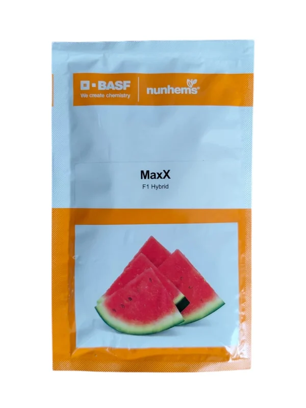 Watermelon Maxx