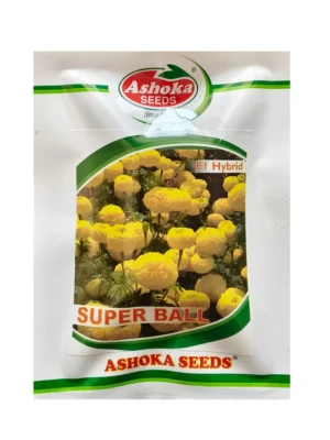 Hybrid Marigold Ashoka Seeds