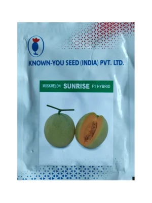 Muskmelon Sunrise