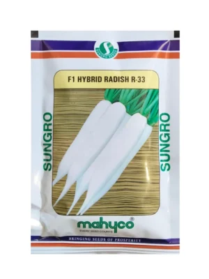 Radish