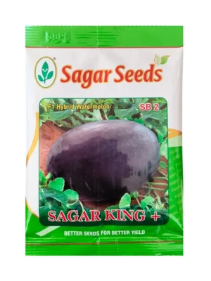 Watermelon Sagar