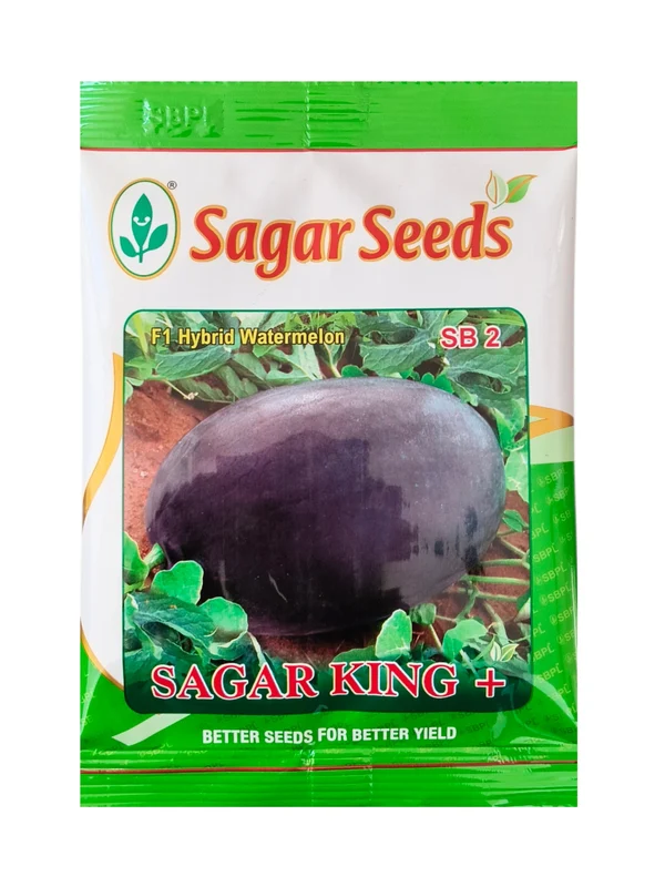 Watermelon Sagar