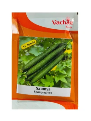 Sponge Gourd Seeds