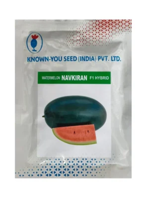 Known You Seed Navkiran