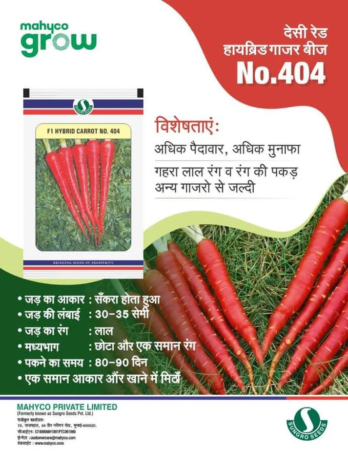 Carrot No. 404 F1 Hybrid Mahyco Sungro Seeds (250Gm) - Image 3