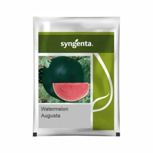 Hybrid Watermelon Seeds