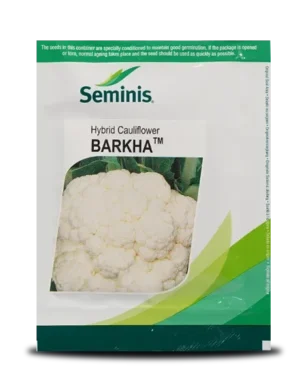 Barkha Cauliflower Seeds
