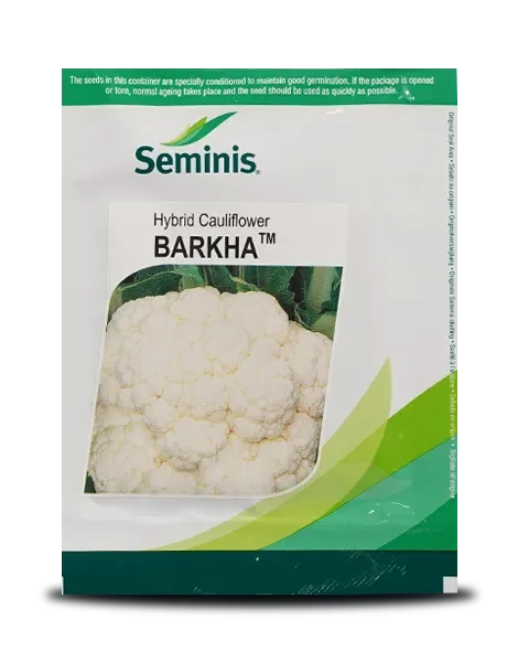 Barkha Cauliflower Seeds