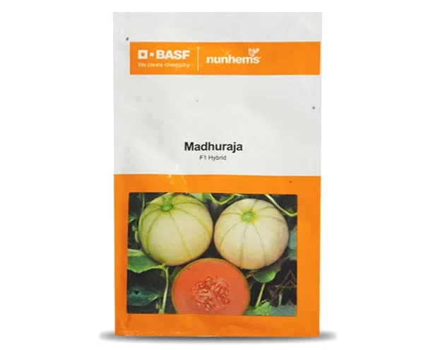 BASF Nunhems Madhuraja