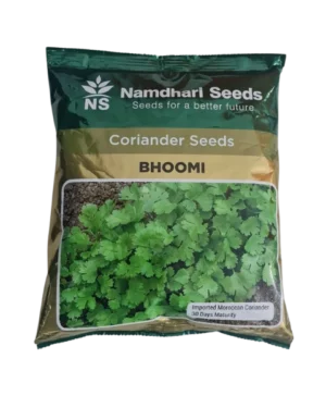 Buy Coriander Seeds