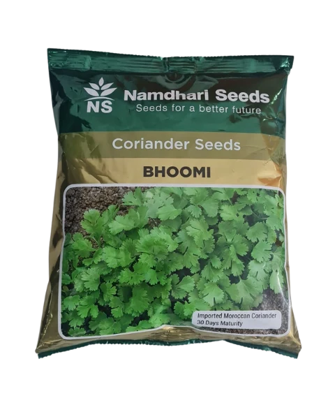Buy Coriander Seeds