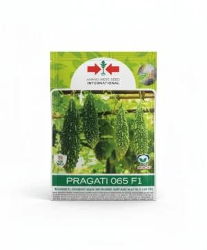 East West Pragati