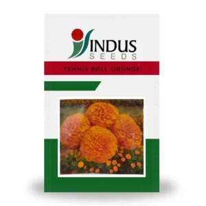 Orange Marigold Seeds