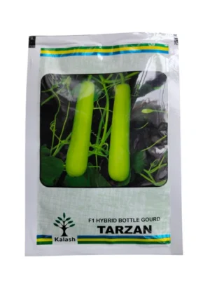 Bottle Gourd Tarzan