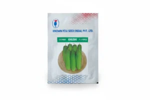 Khushi Cucumber