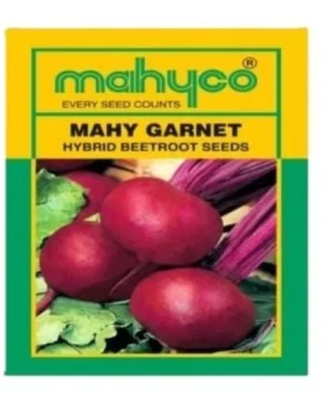 Mahyco Garnet Beetroot Seeds
