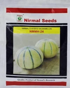 Nirmal NMMH 24 Muskmelon Seeds