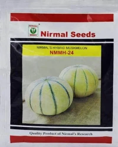 Nirmal NMMH 24 Muskmelon Seeds