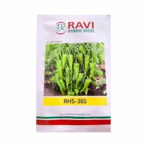 Ravi Hybrid RHS 365 Chilli Seeds