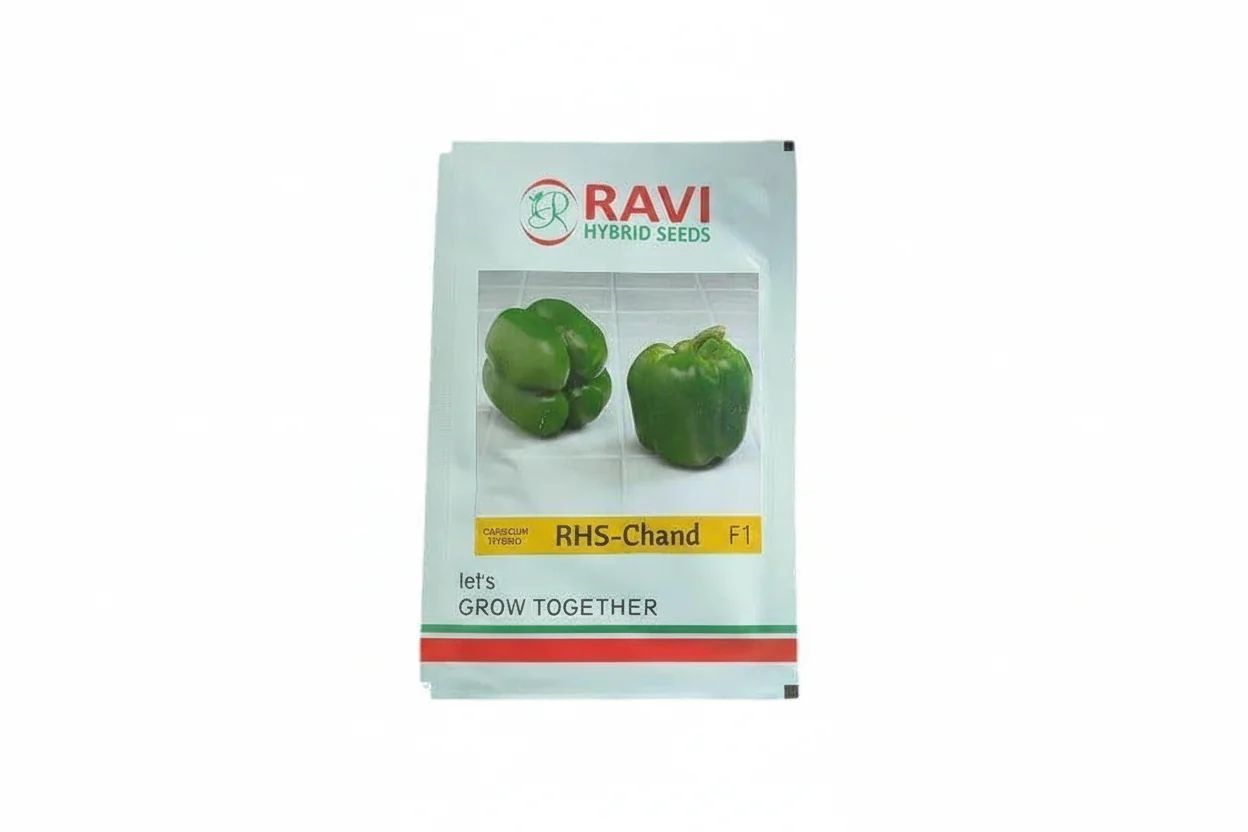 Chand Capsicum Seeds